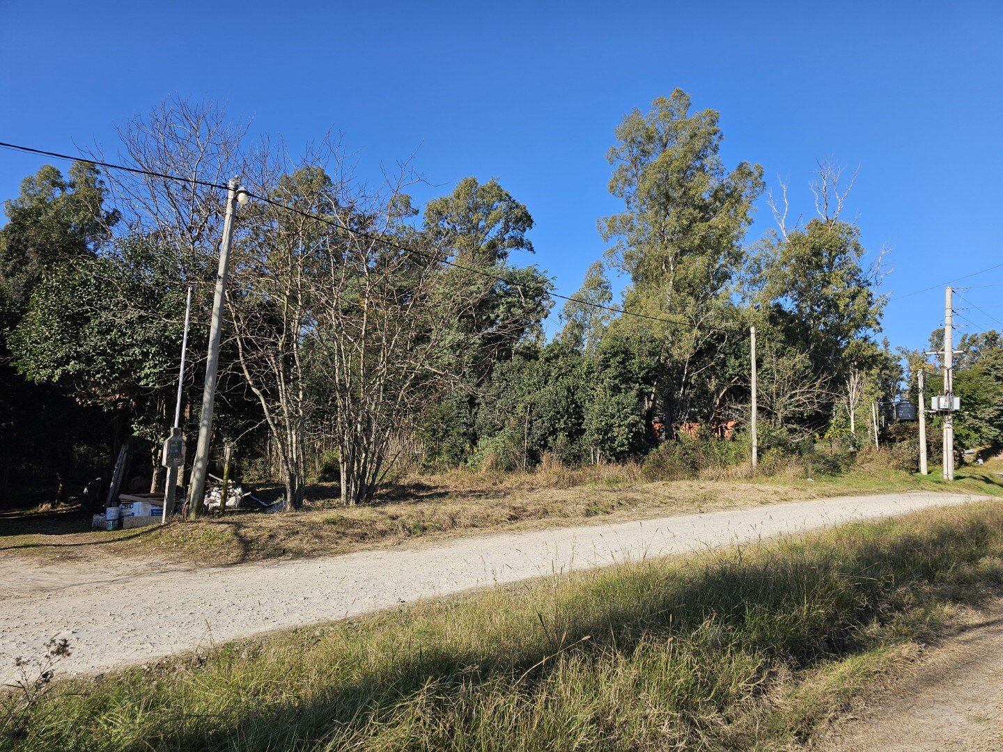 Lote inmerso en el bosque, lote 11 barrio El Molino — foto 9