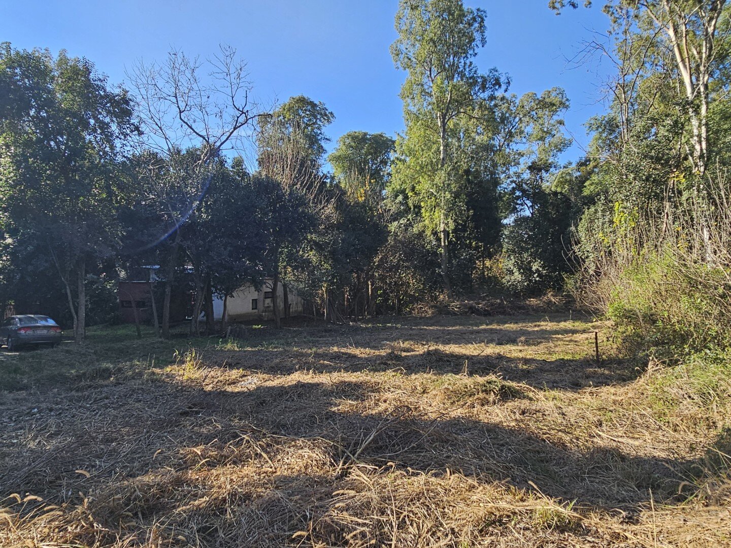 Lote inmerso en el bosque, lote 11 barrio El Molino — foto 6