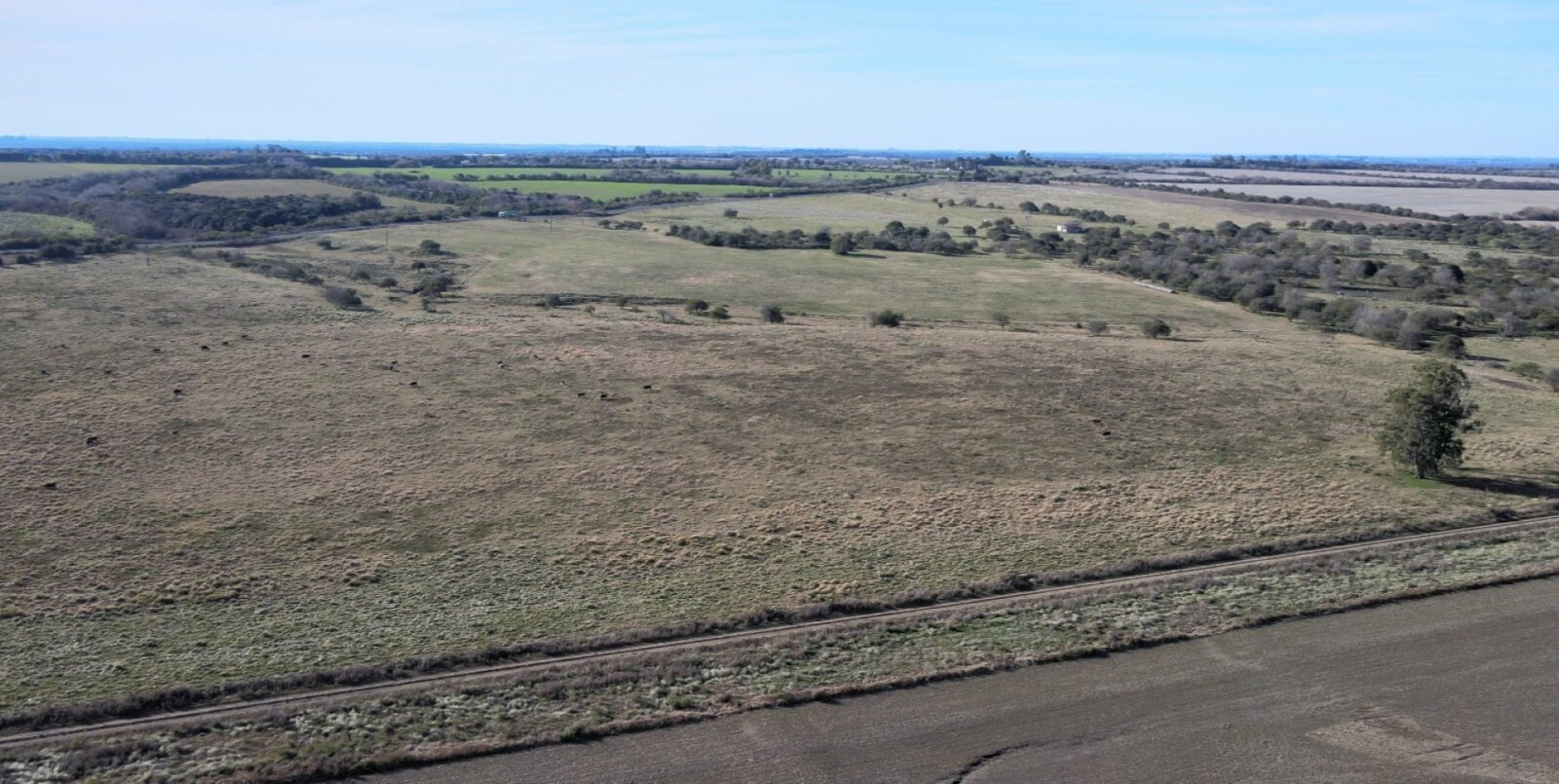 Campo mixto con casa y galpon, 78,5 has. Sobre ruta - 4