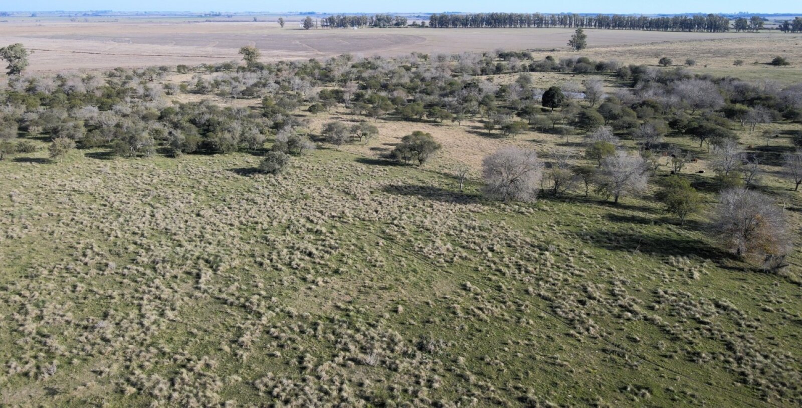 Campo mixto con casa y galpon, 78,5 has. Sobre ruta - 13