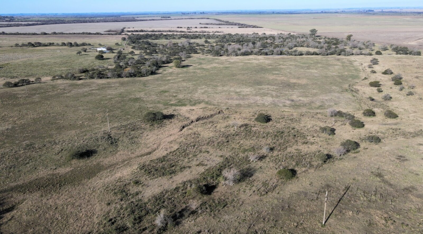 Campo mixto con casa y galpon, 78,5 has. Sobre ruta - 11