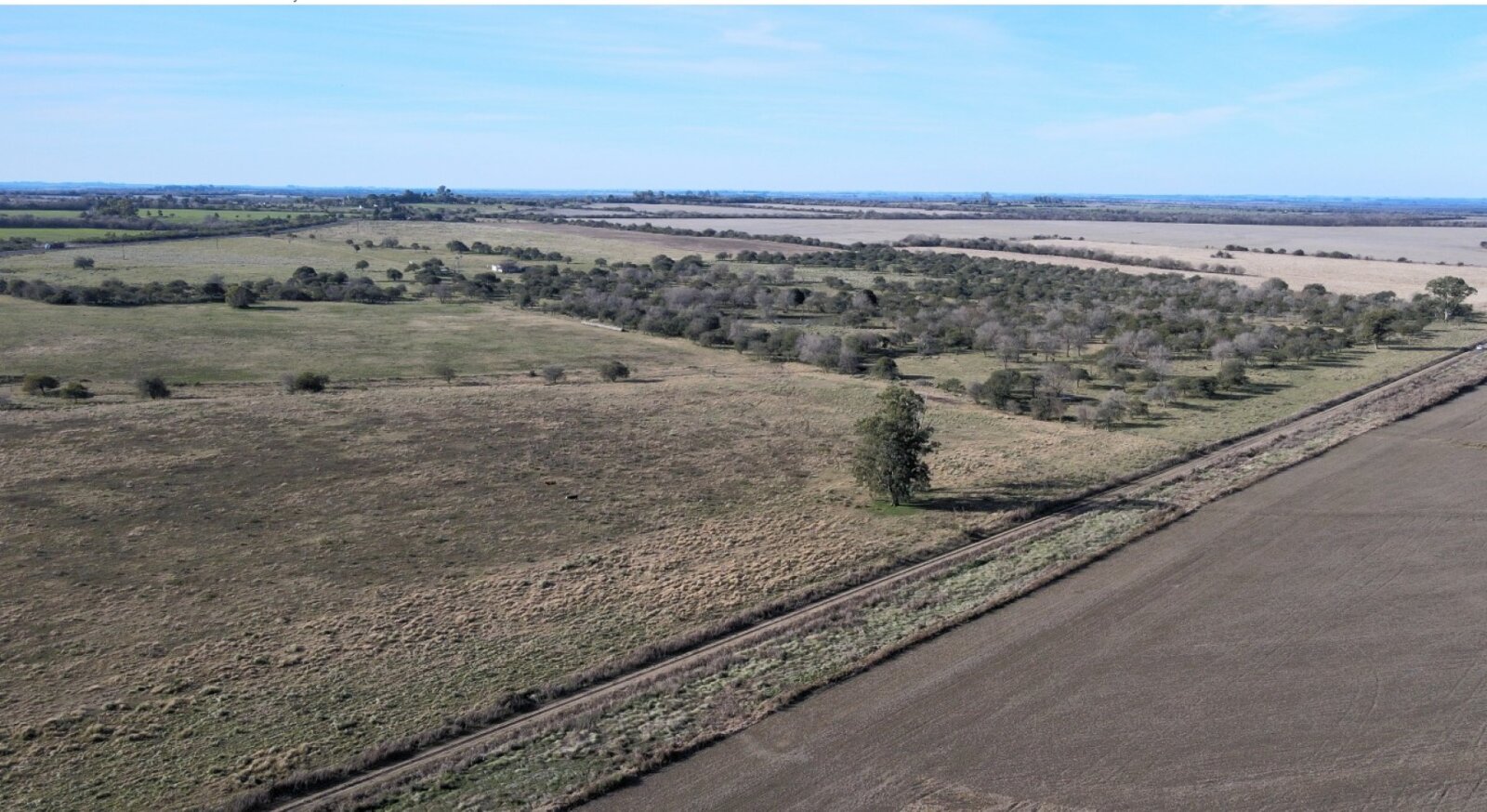 Campo mixto con casa y galpon, 78,5 has. Sobre ruta - 8