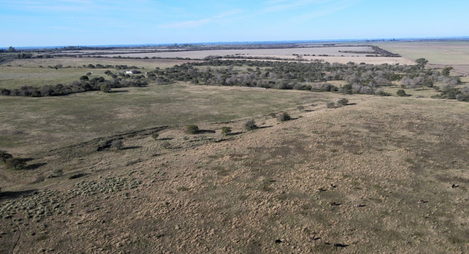Campo mixto con casa y galpon, 78,5 has. Sobre ruta - 9