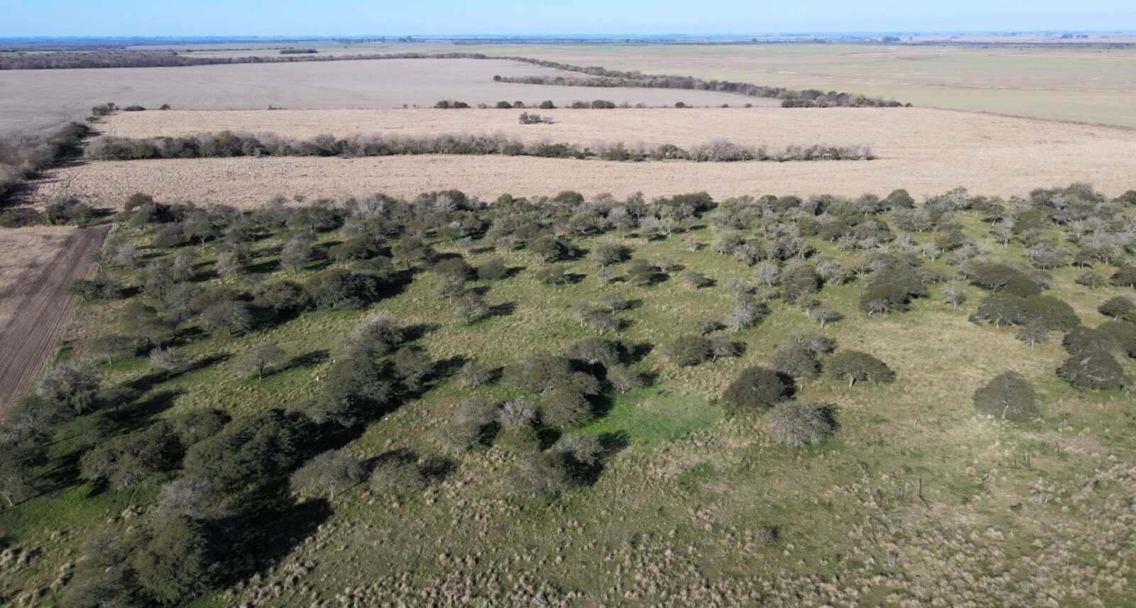 Campo mixto con casa y galpon, 78,5 has. Sobre ruta - 14
