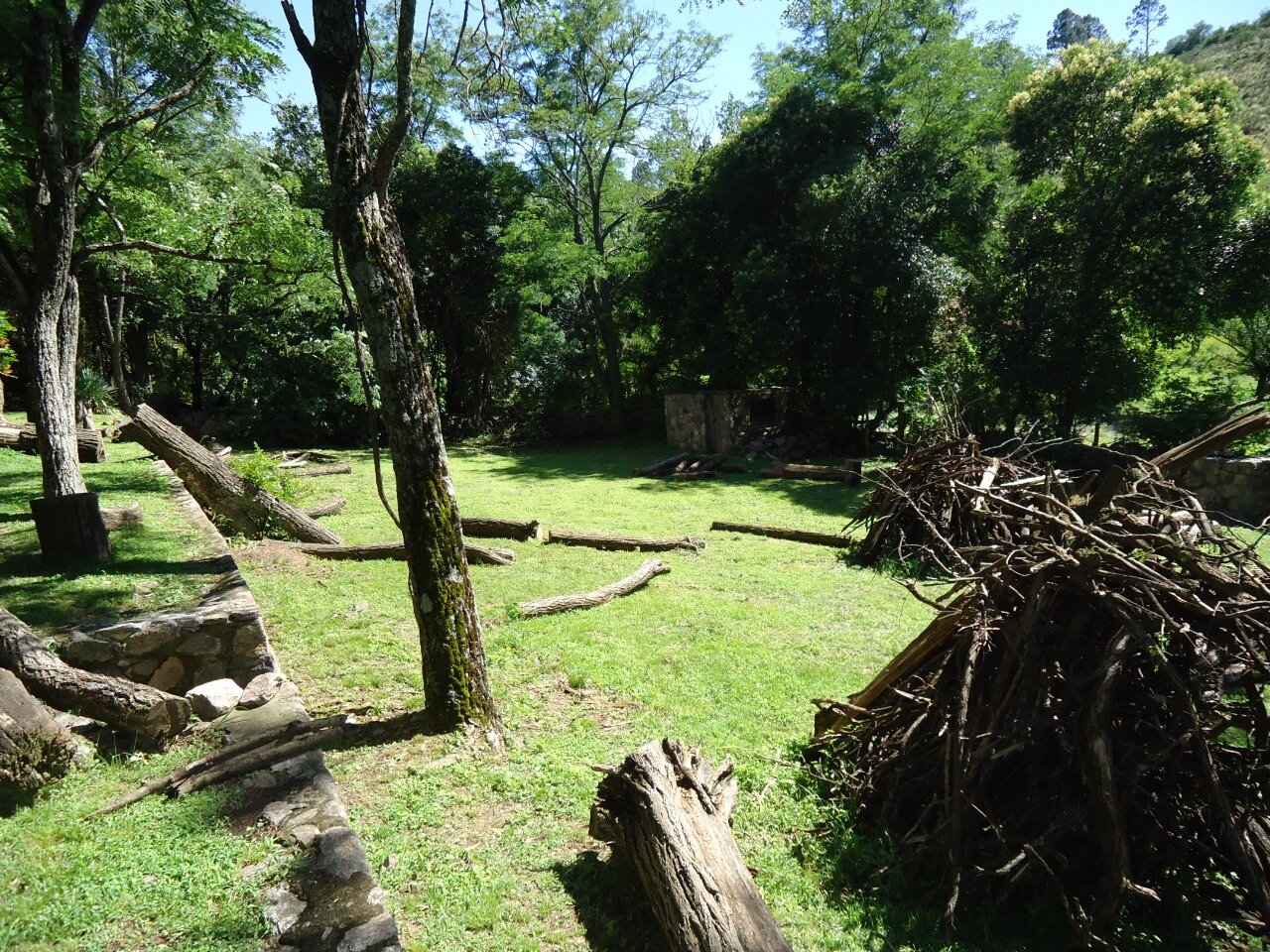 CAMPO 40 HAS AGUA DE ORO - 13