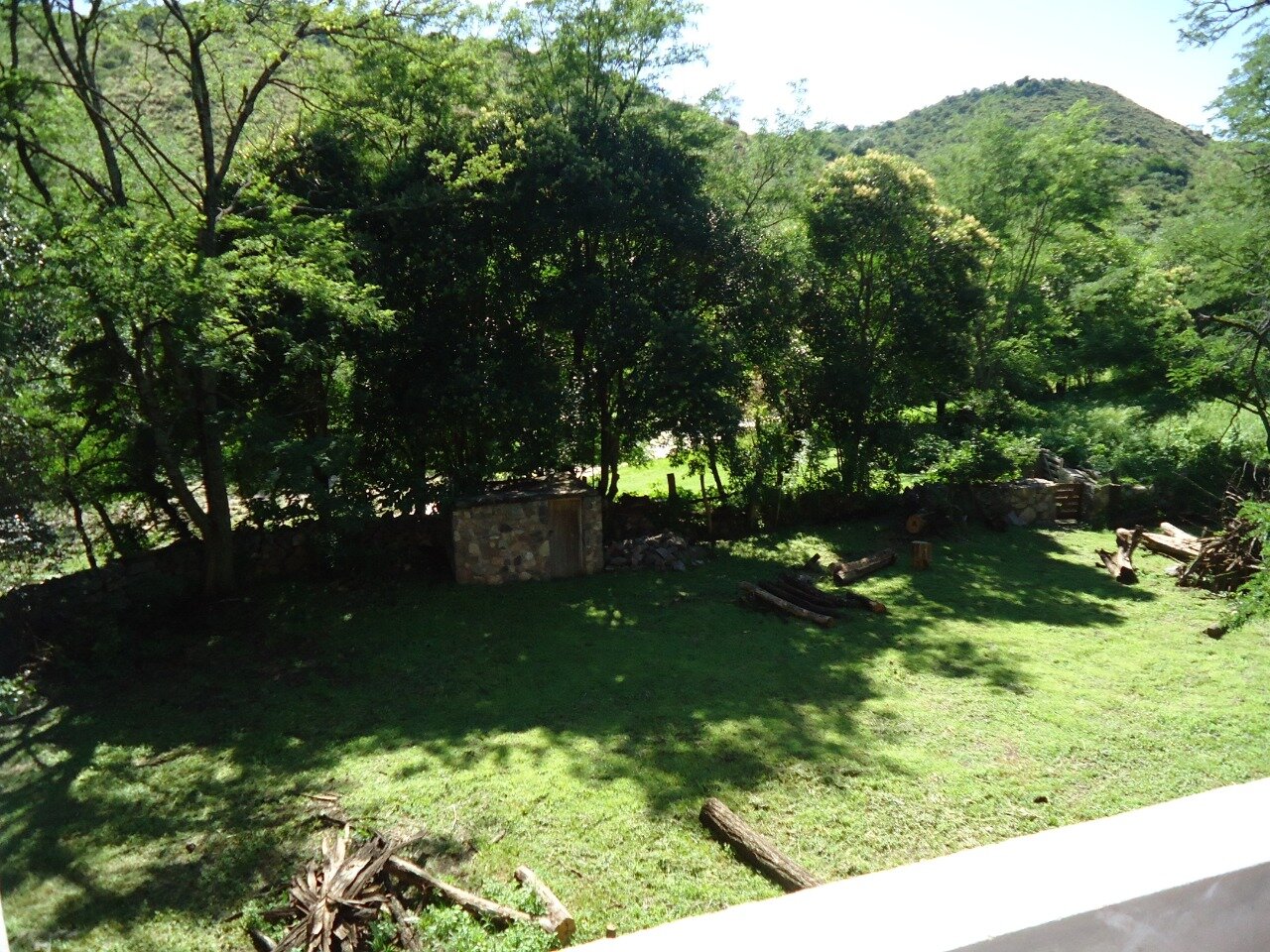 CAMPO 40 HAS AGUA DE ORO - 15