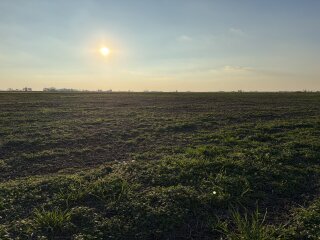Campos - Iriondo - Venta