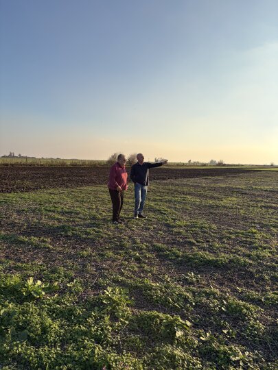 Campos - Iriondo - Venta