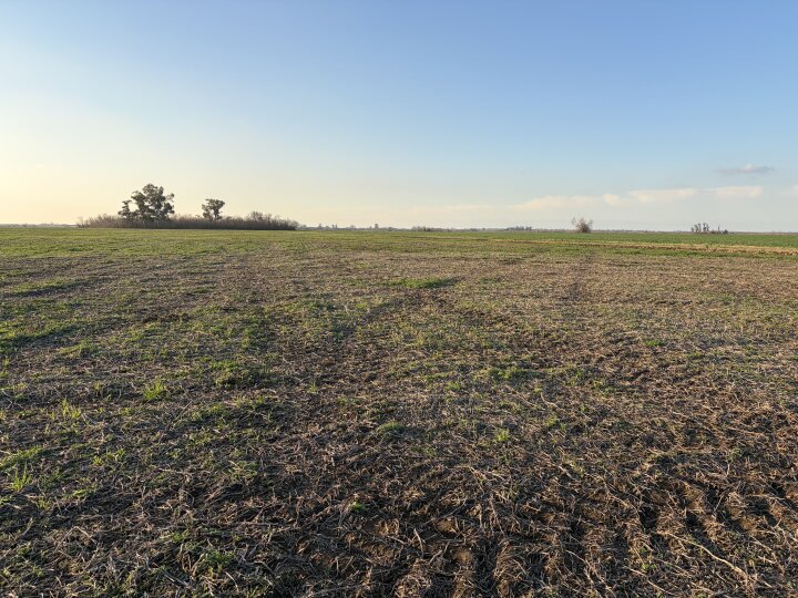 Campos - Iriondo - Venta
