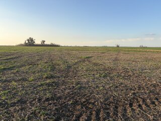 Campos - Iriondo - Venta