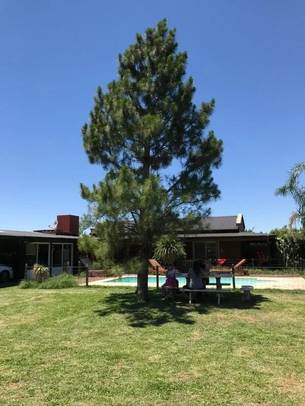 ROLDAN- PUNTA CHACRA - CASA EN ALQUILER - AMPLIO PARQUE - PISCINA - 4