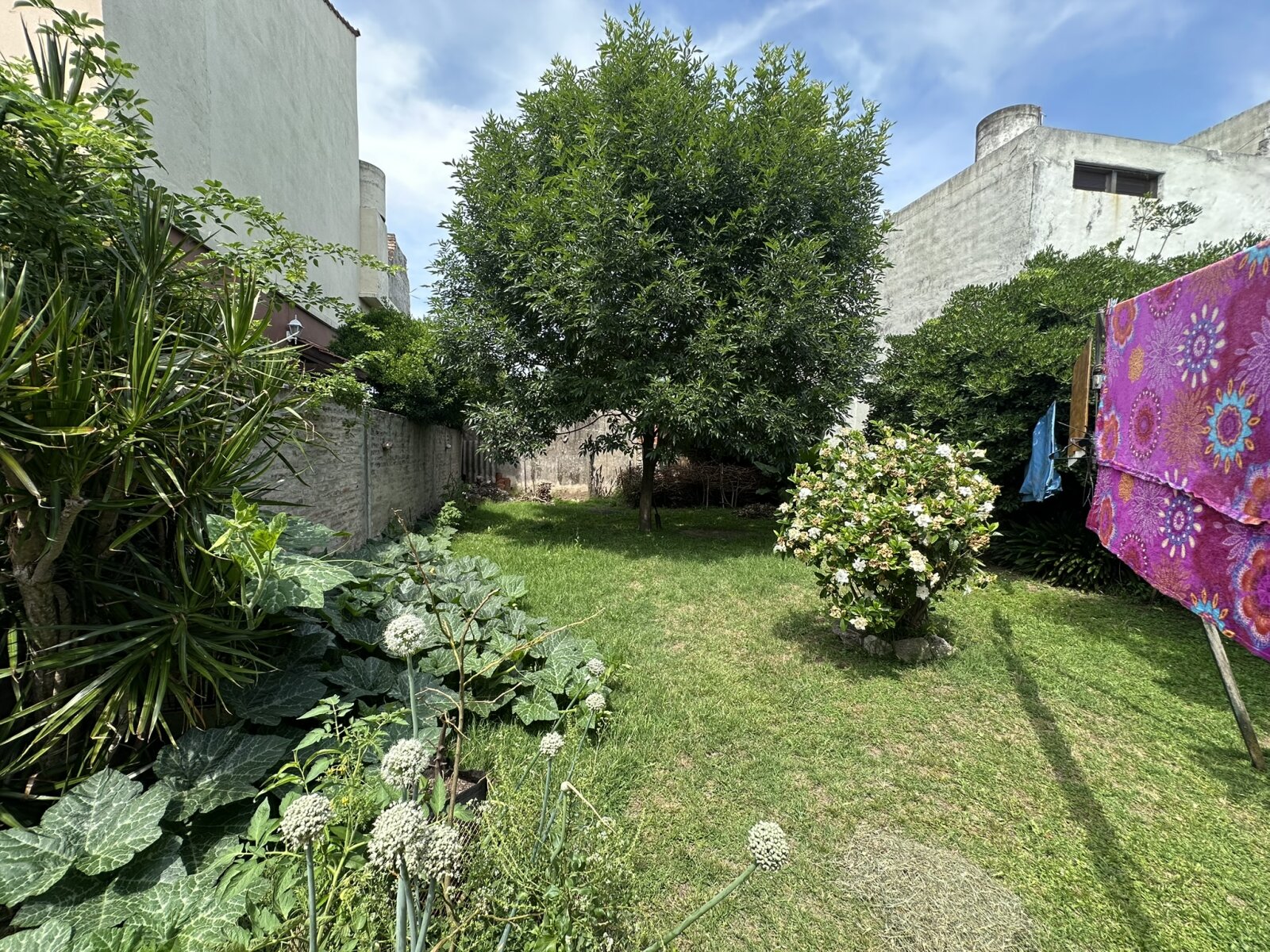 CASA ¡APTA CRÉDITO! - 15
