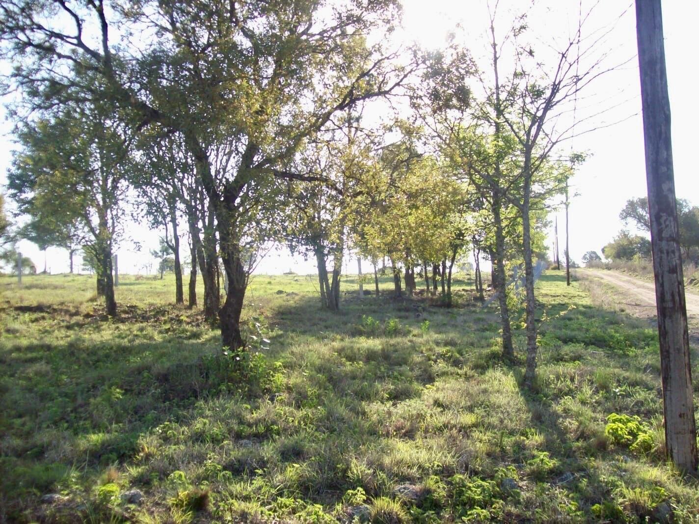 TERRENO EN VENTA EL ALTO VILLA GENERAL BELGRANO CON VISTAS - 1