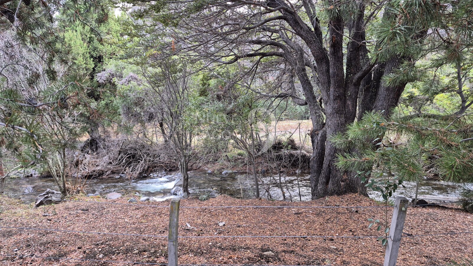 Venta lote con fondo a costa del arroyo María en Villa Lago Meliquina - 20