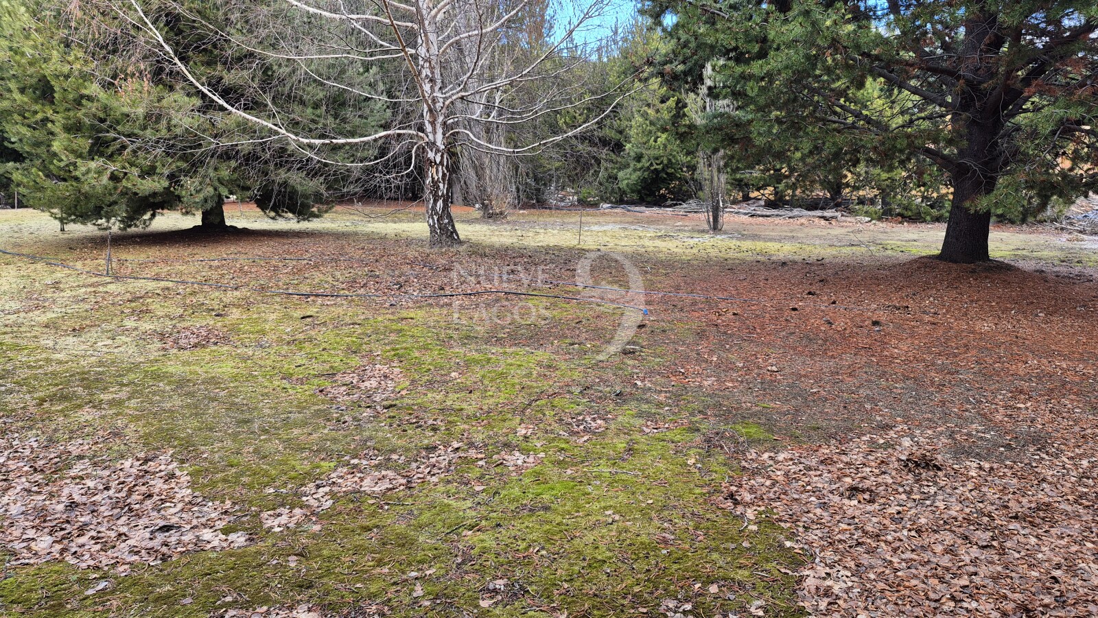 Venta lote con fondo a costa del arroyo María en Villa Lago Meliquina - 18