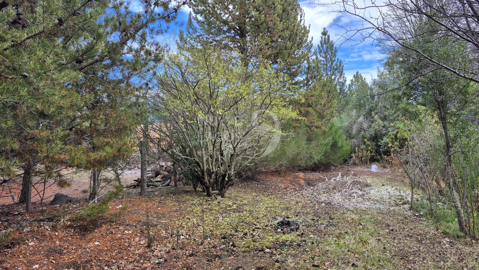 Venta lote con fondo a costa del arroyo María en Villa Lago Meliquina - 23