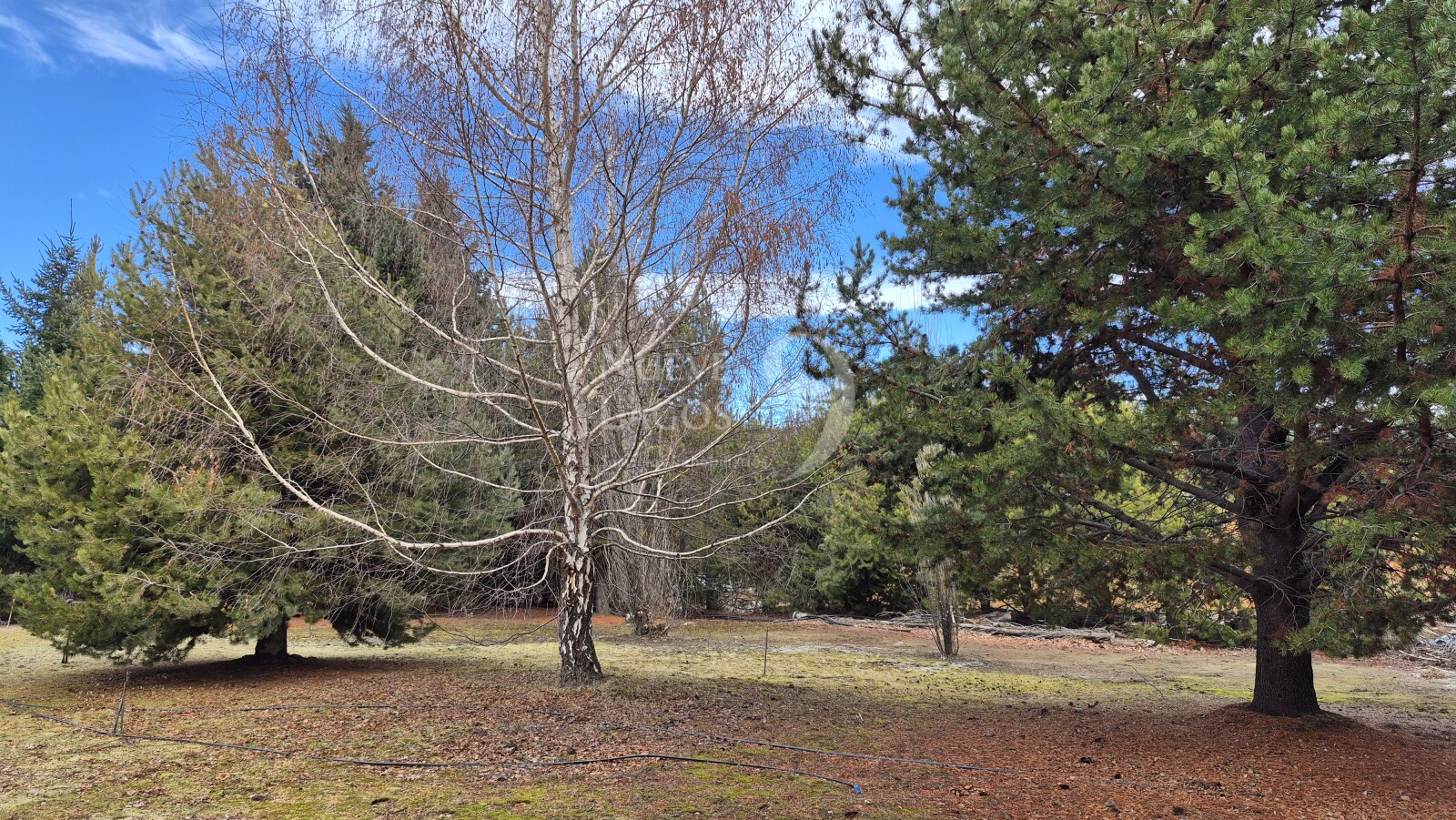Venta lote con fondo a costa del arroyo María en Villa Lago Meliquina - 17