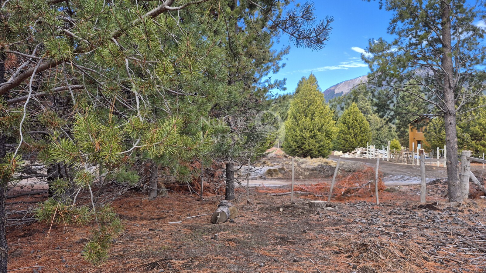 Venta lote con fondo a costa del arroyo María en Villa Lago Meliquina - 10