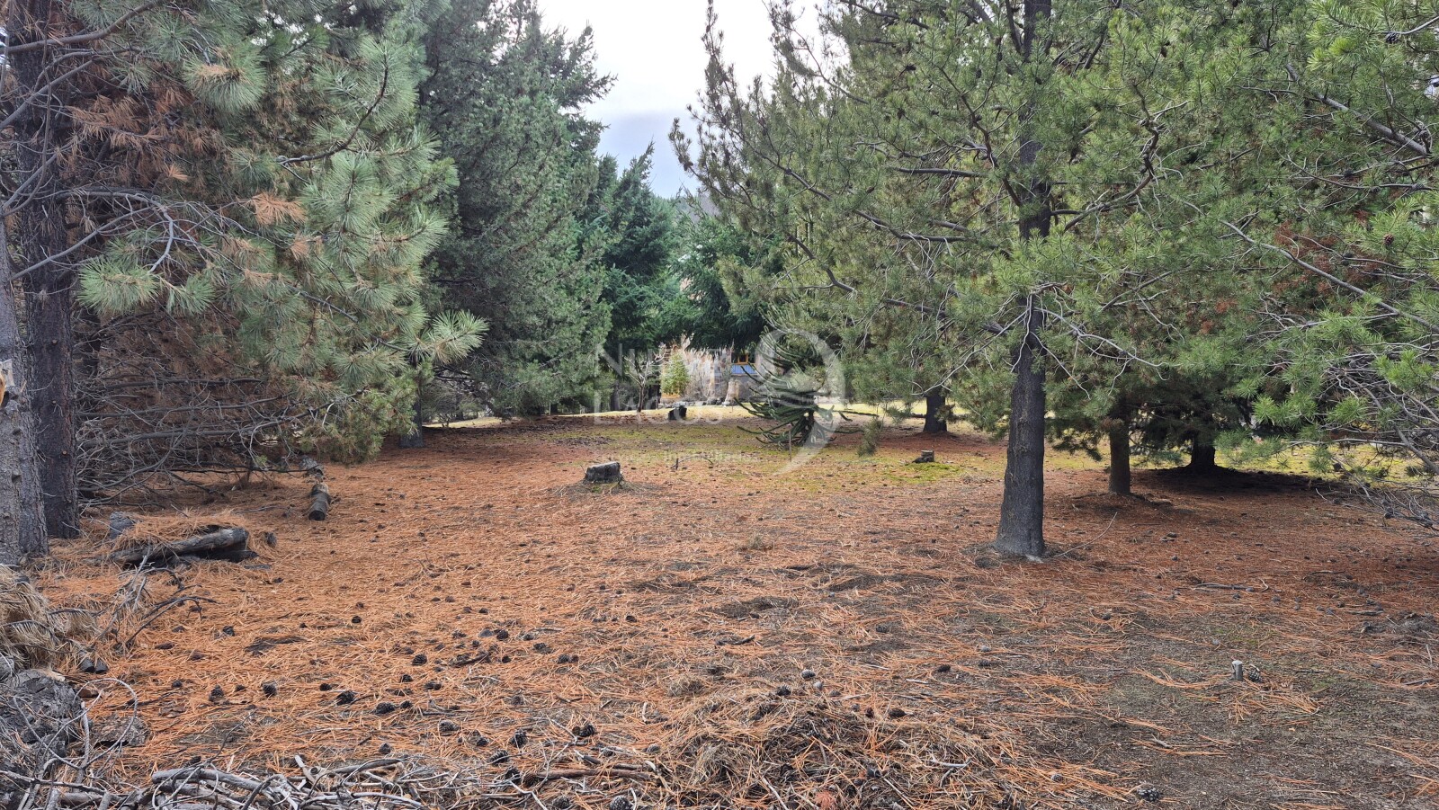Venta lote con fondo a costa del arroyo María en Villa Lago Meliquina - 9