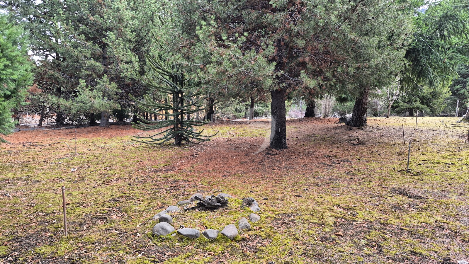 Venta lote con fondo a costa del arroyo María en Villa Lago Meliquina - 14
