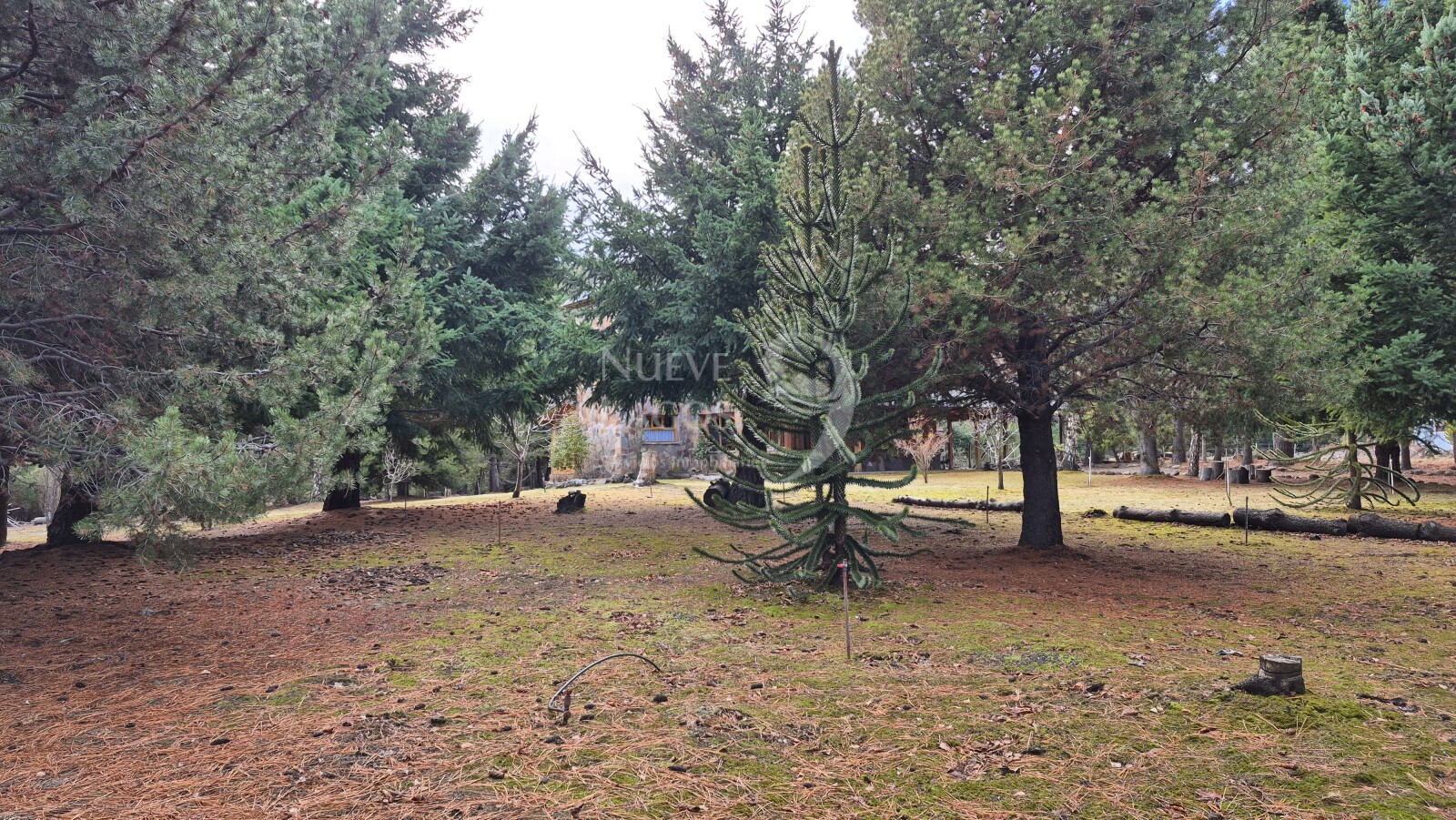 Venta lote con fondo a costa del arroyo María en Villa Lago Meliquina - 11