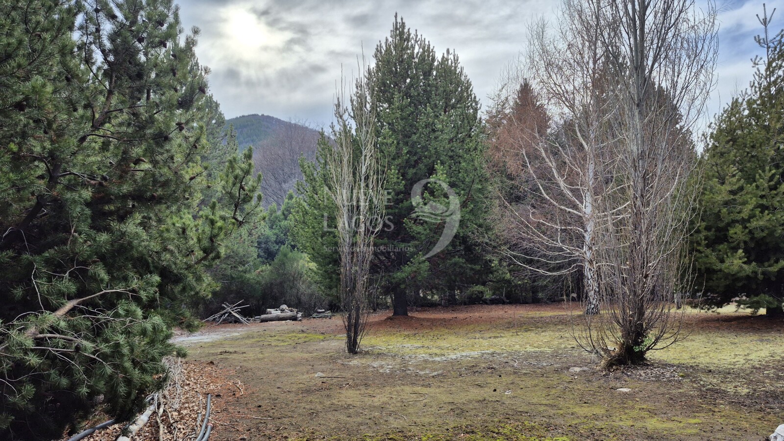 Venta lote con fondo a costa del arroyo María en Villa Lago Meliquina - 15