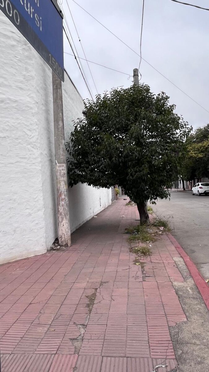 Local comercial en alquiler - 16