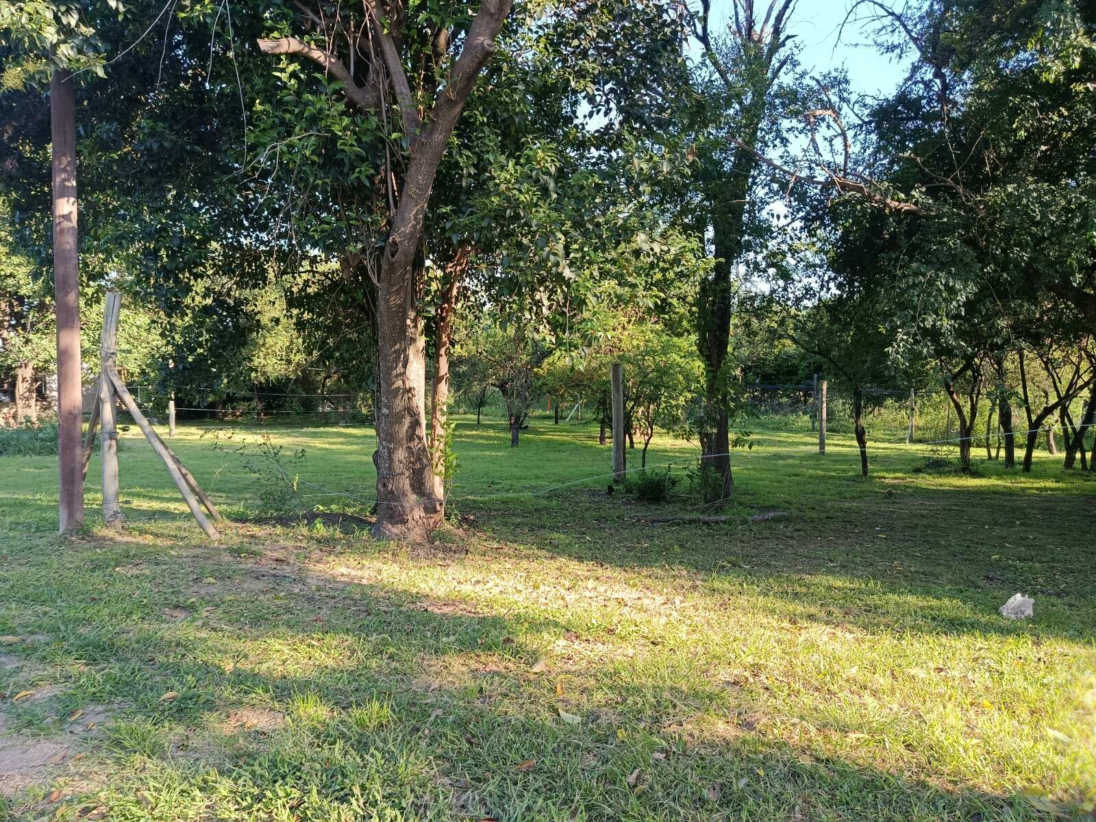 Villa Catalina - LOS BOSQUES: 2 lotes contiguos - Imagen 3