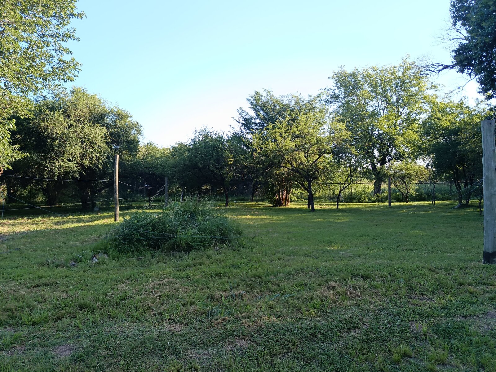 Villa Catalina - LOS BOSQUES: 2 lotes contiguos - Imagen 7