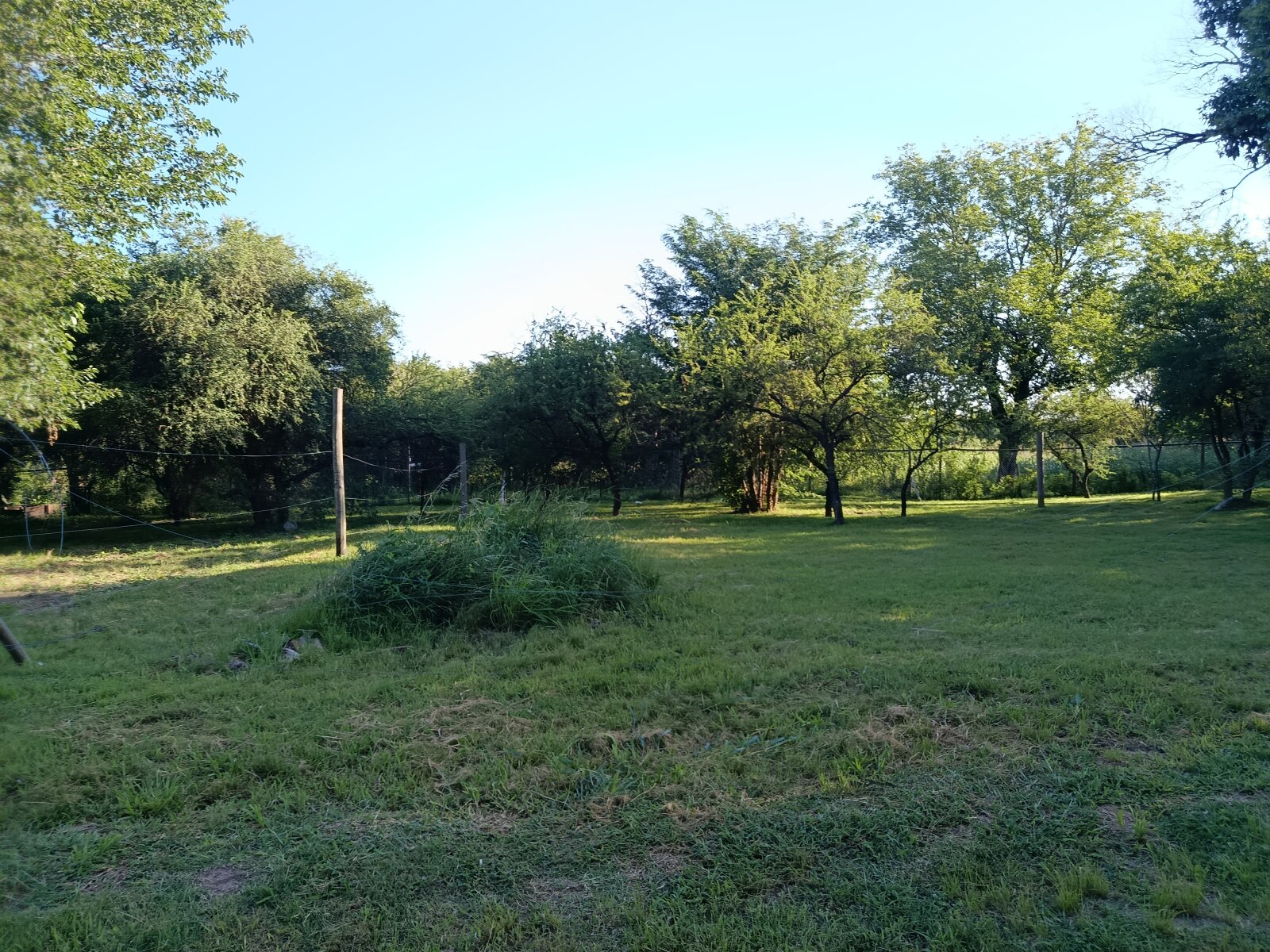 Villa Catalina - LOS BOSQUES: 2 lotes contiguos - Imagen 5