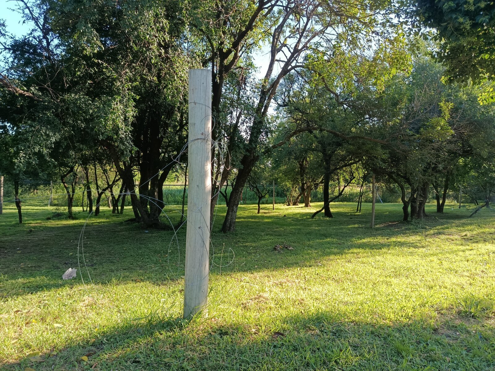Villa Catalina - LOS BOSQUES: 2 lotes contiguos - Imagen 4