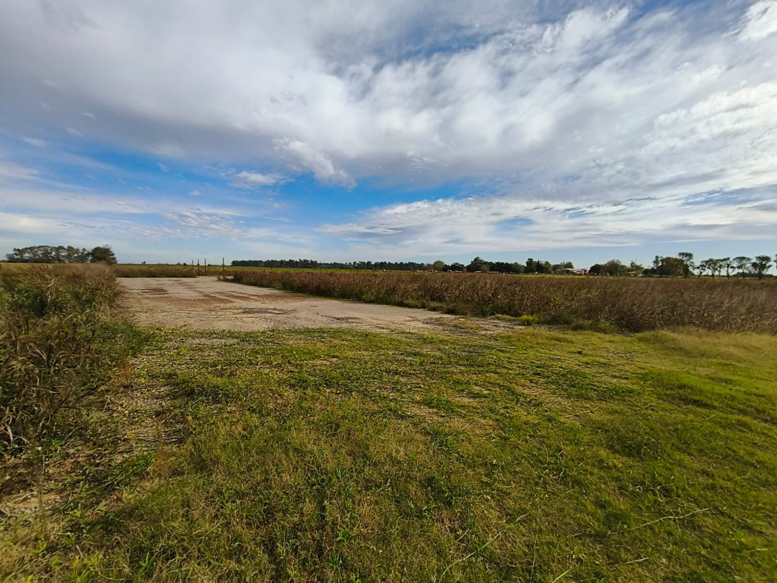 Predio de 3.5 ha Timbues - 2