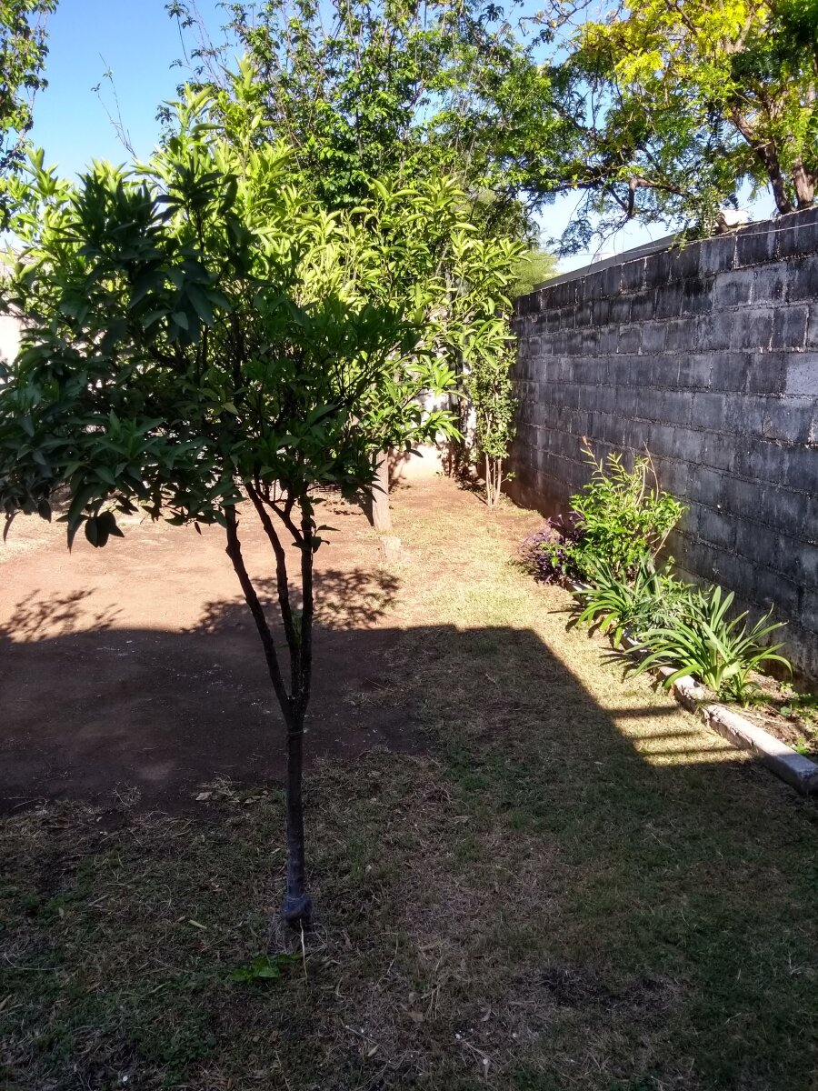 MATIENZO (ZONA) CON RENTA - 2 DOR- COCH. - Imagen 12