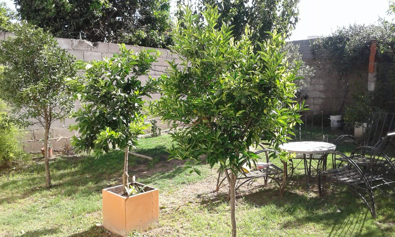 MATIENZO (ZONA) CON RENTA - 2 DOR- COCH. - Imagen 11