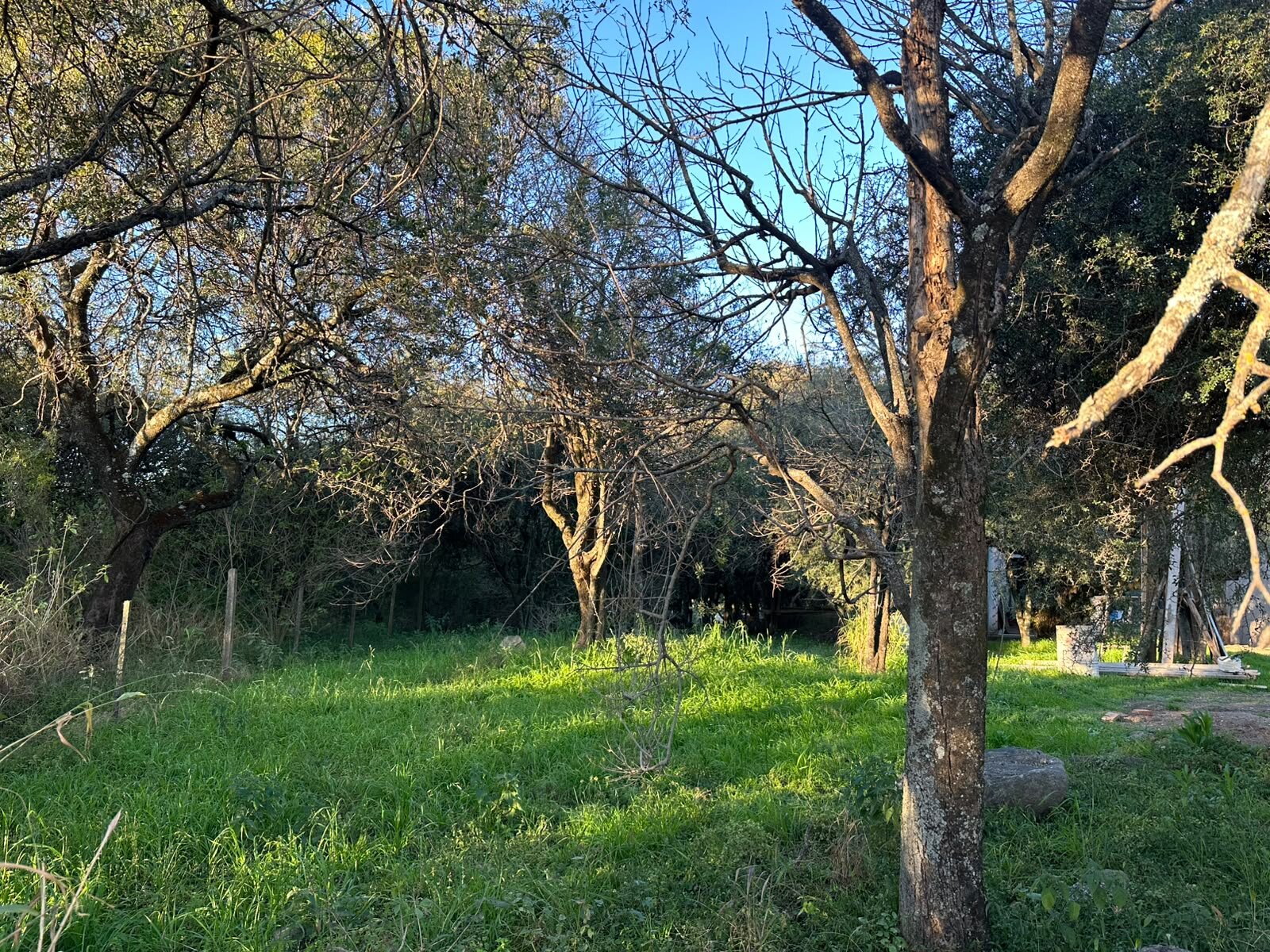Vendo lote sobre el camino del cuadrado - Imagen 8