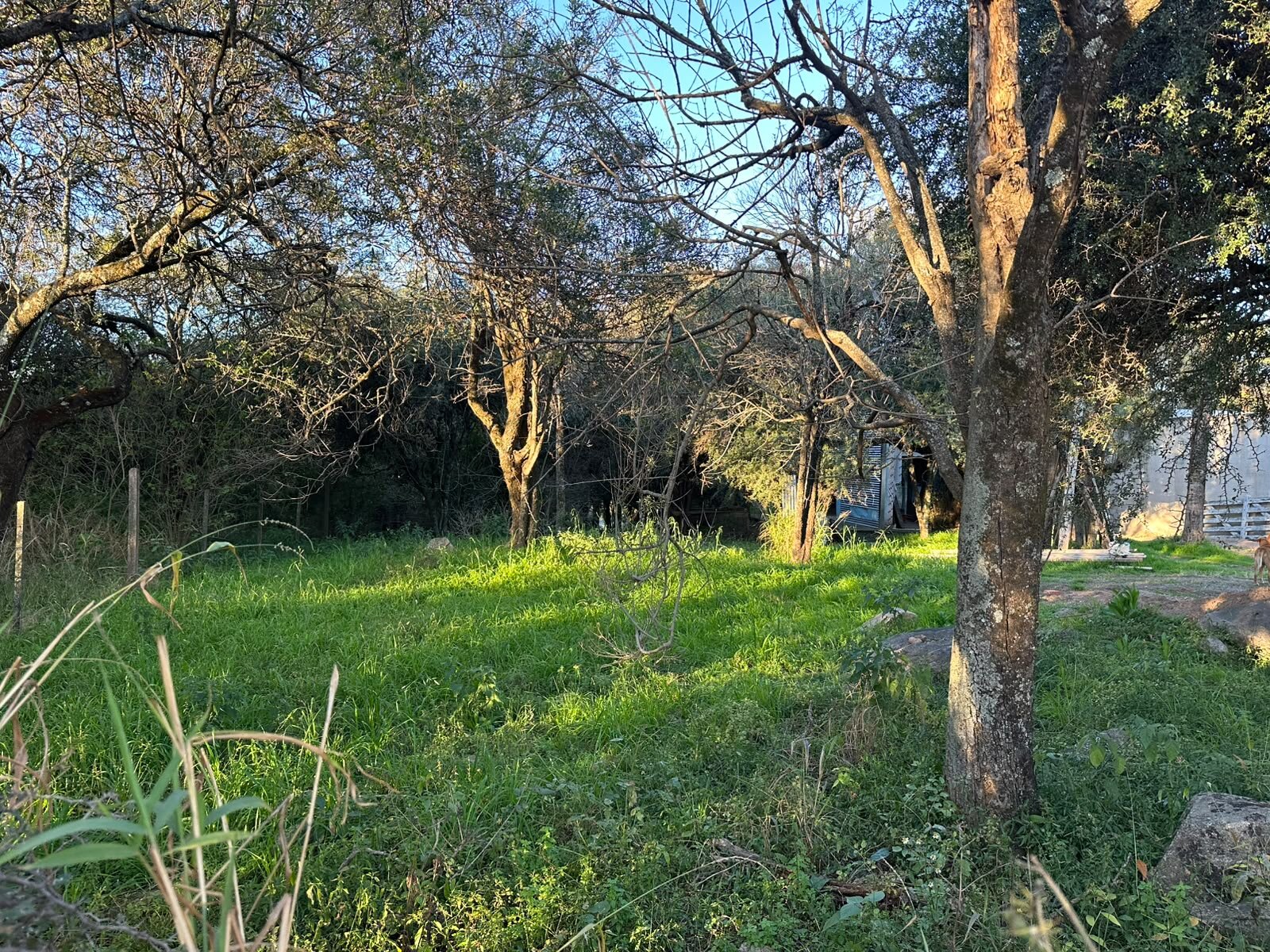 Vendo lote sobre el camino del cuadrado - Imagen 7