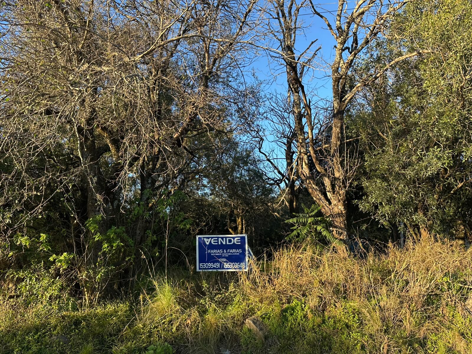 Vendo lote sobre el camino del cuadrado - Imagen 4