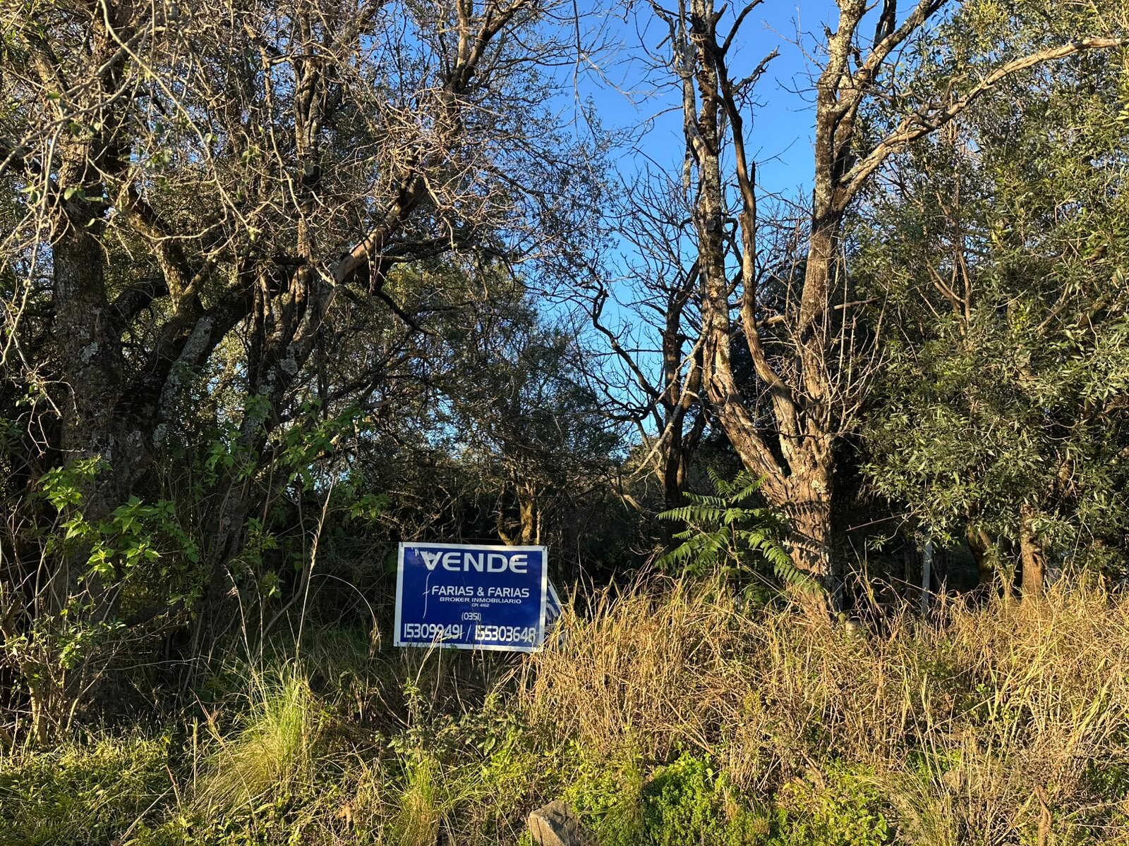 Vendo lote sobre el camino del cuadrado - Imagen 2