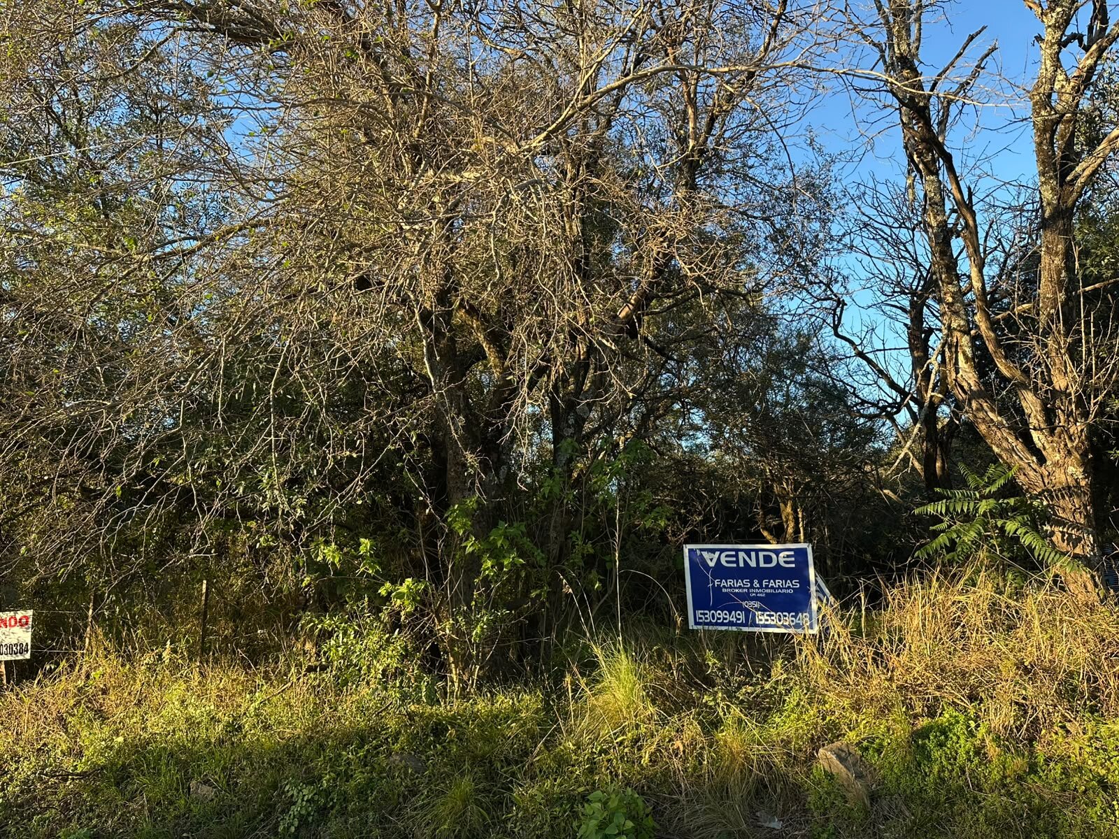 Vendo lote sobre el camino del cuadrado - Imagen 3