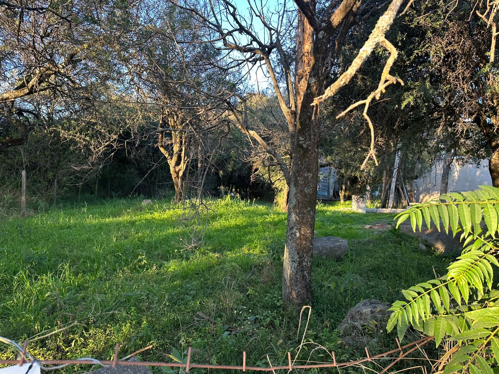 Vendo lote sobre el camino del cuadrado - Imagen 6
