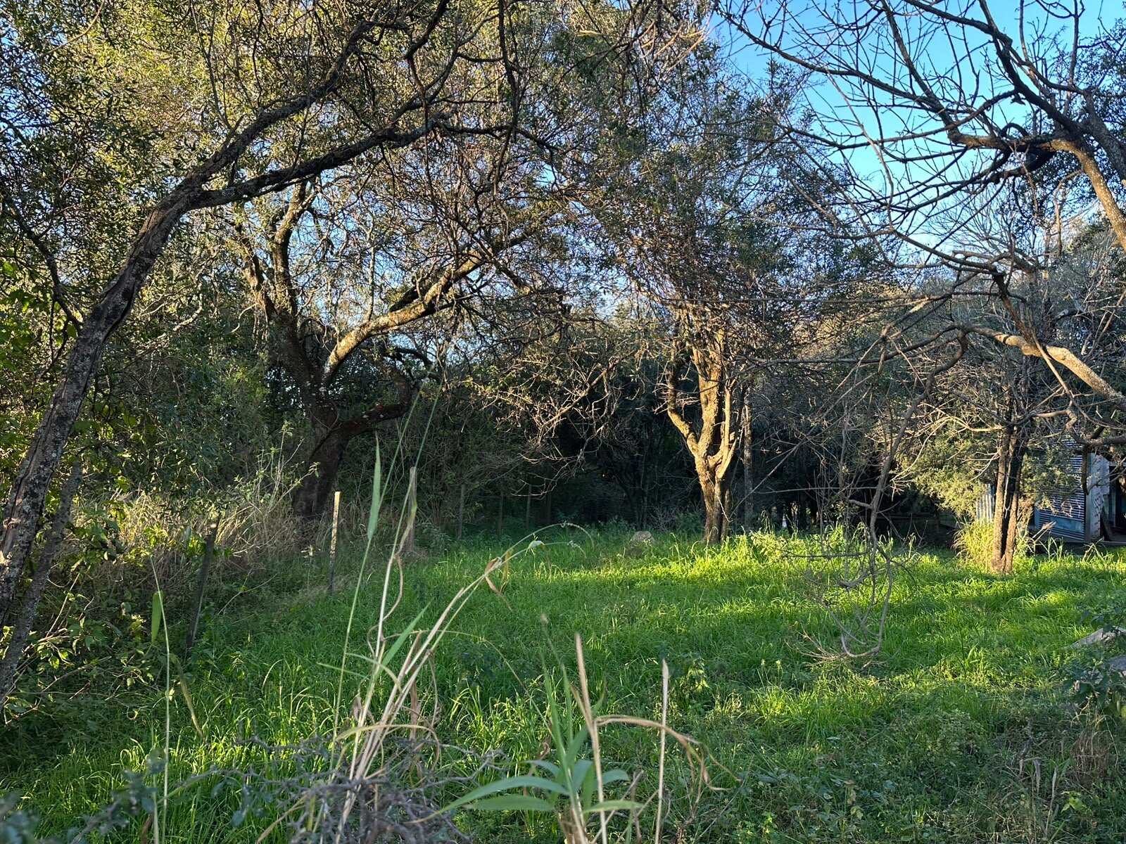 Vendo lote sobre el camino del cuadrado - Imagen 5