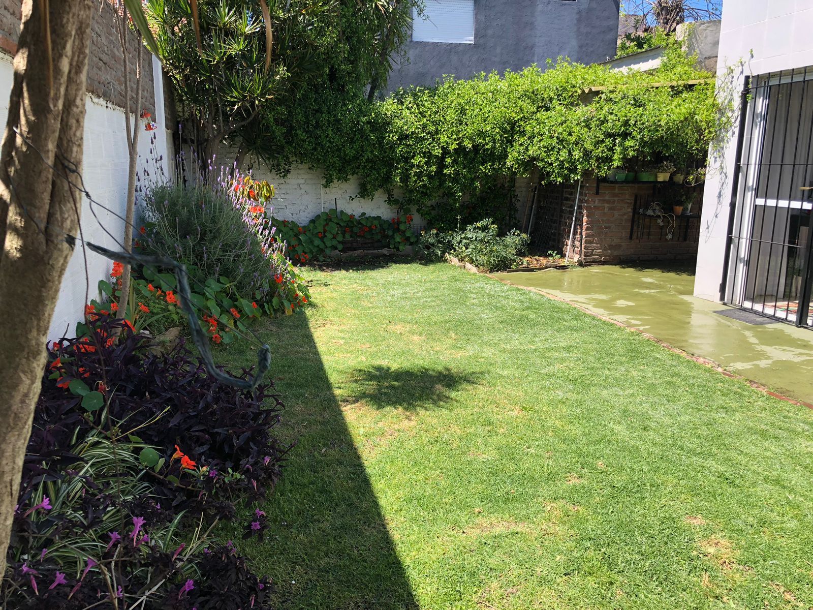 PH TIPO CASA 4 AMBIENTES IMPECABLE!!! EN HAEDO CHICO *APTO CREDITO* - 16