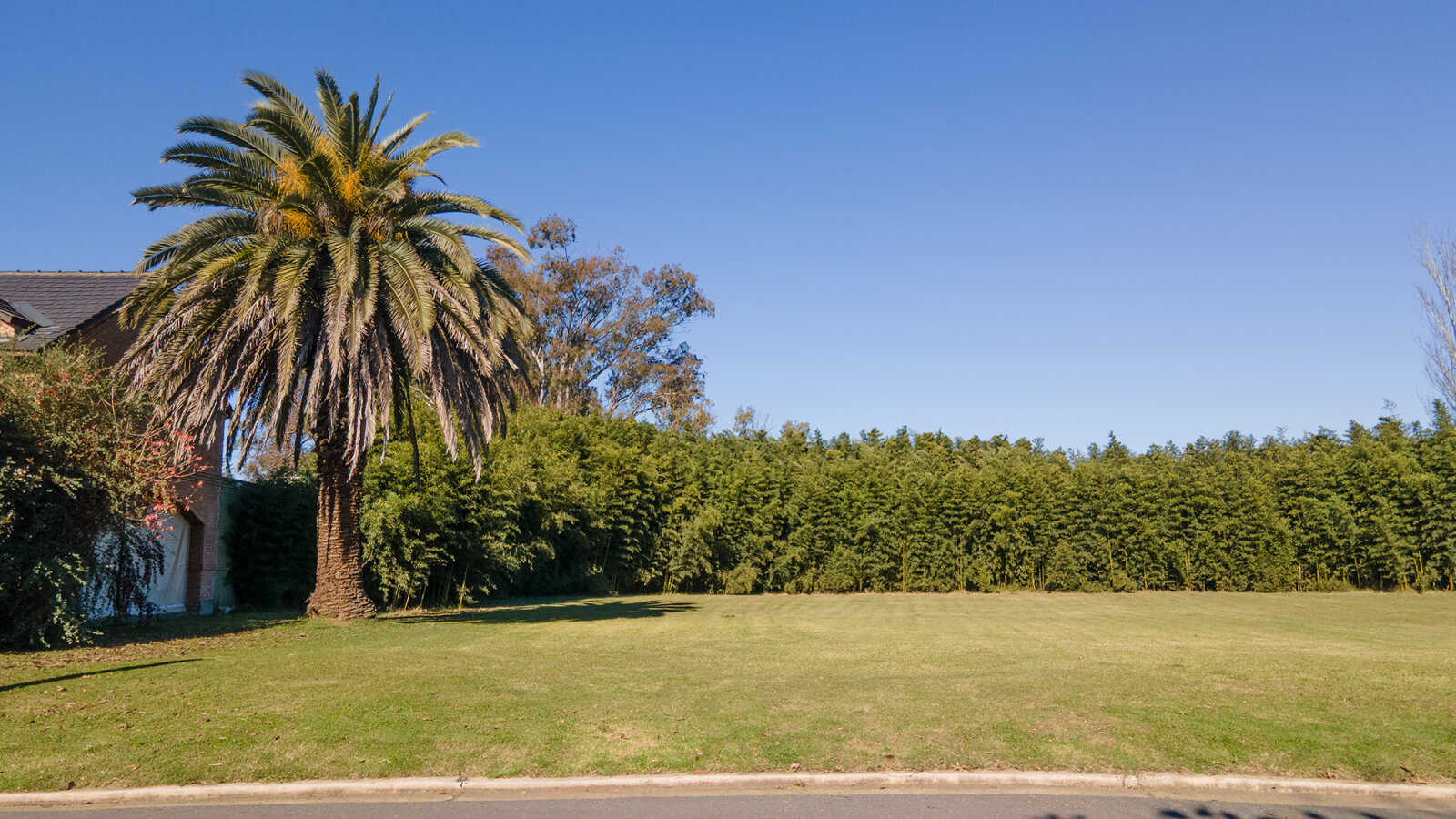 VENTA LOTE CARLOS PELLEGRINI- INMEJORABLE UBICACIÓN - 9