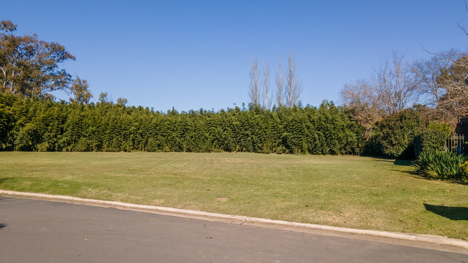 VENTA LOTE CARLOS PELLEGRINI - 9