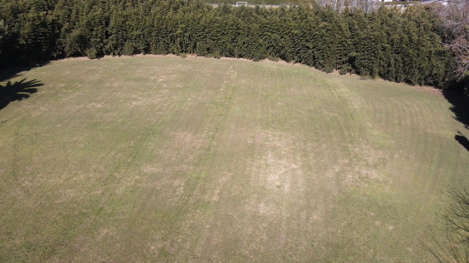 VENTA LOTE CARLOS PELLEGRINI - 13