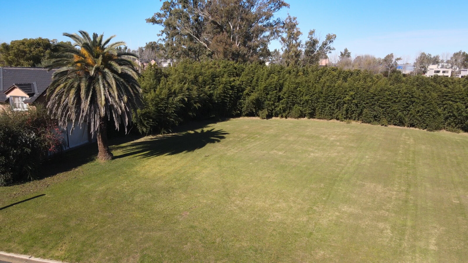 VENTA LOTE CARLOS PELLEGRINI - 15