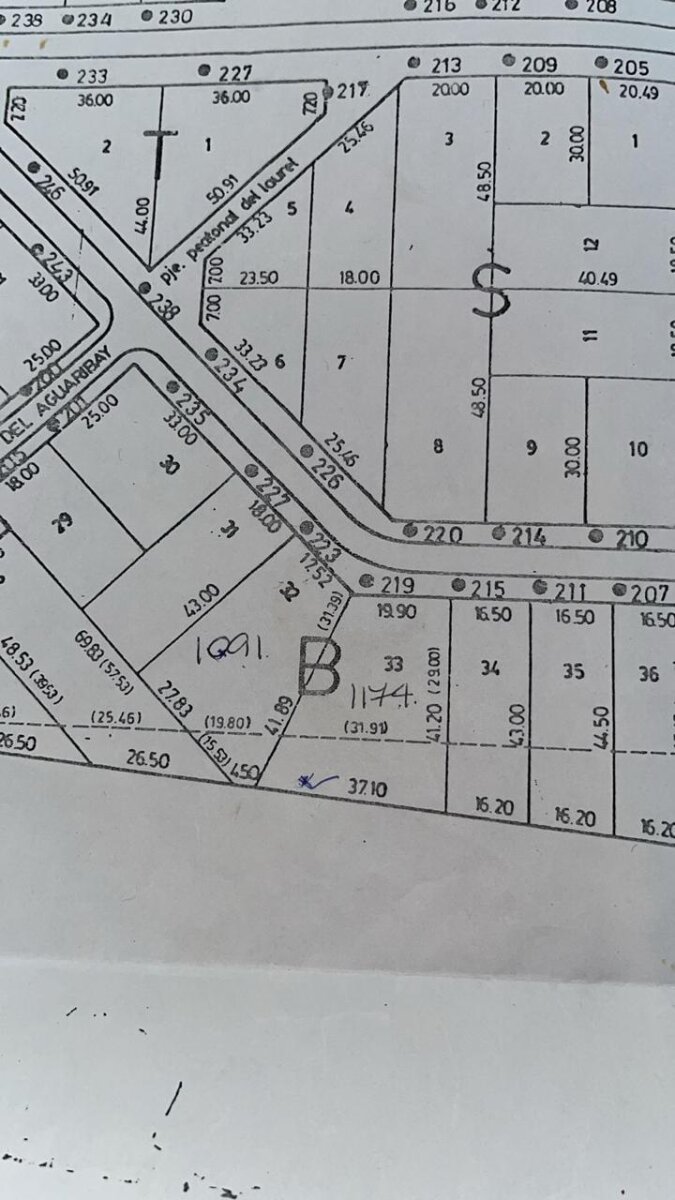VENTA LOTE CARLOS PELLEGRINI - 16