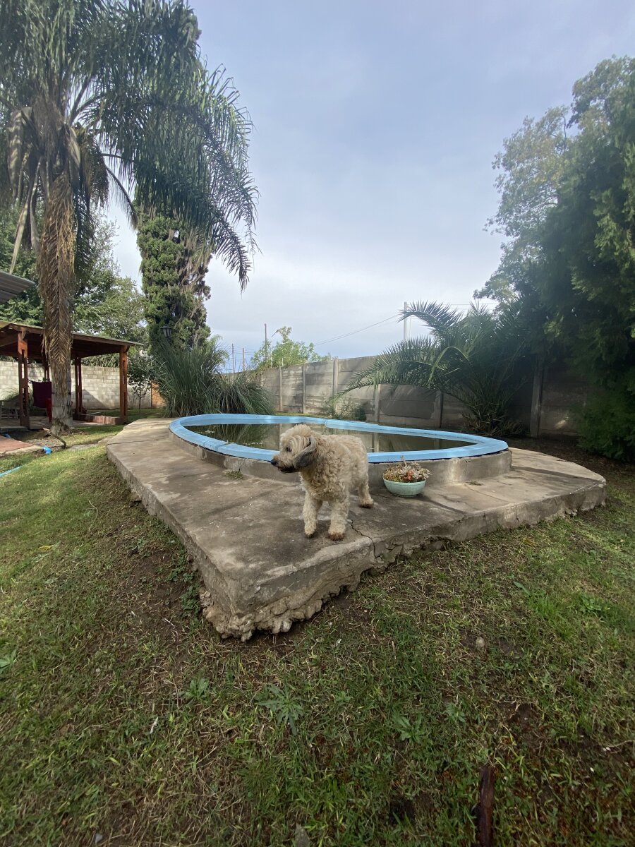 Casa dos dormitorios en Villa Elvira, Timbúes - 21