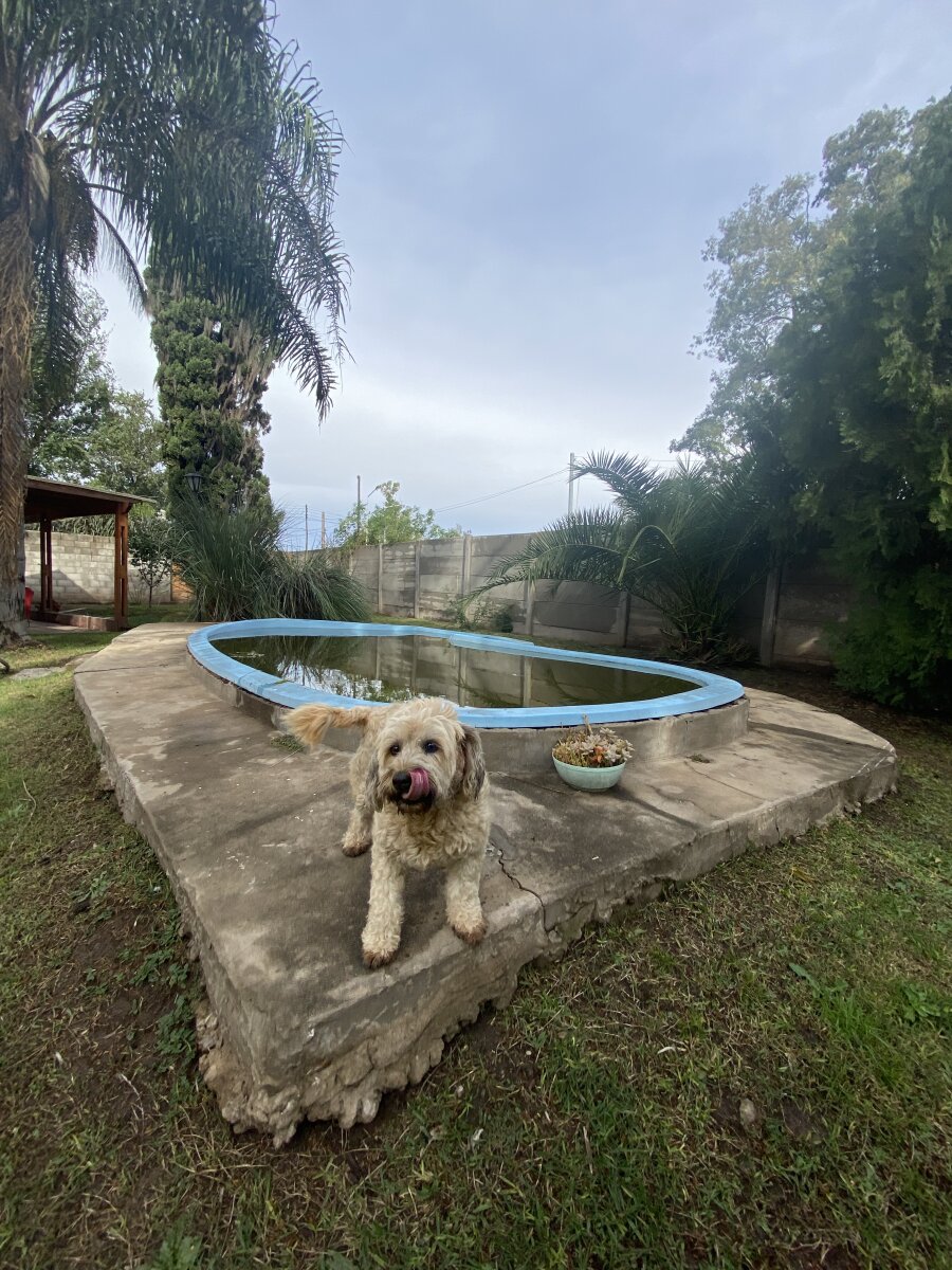 Casa dos dormitorios en Villa Elvira, Timbúes - 24