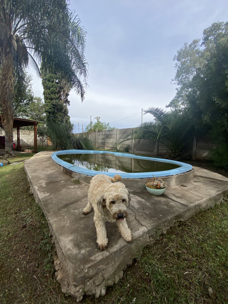 Casa dos dormitorios en Villa Elvira, Timbúes - 19